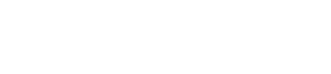 Agency Case Files